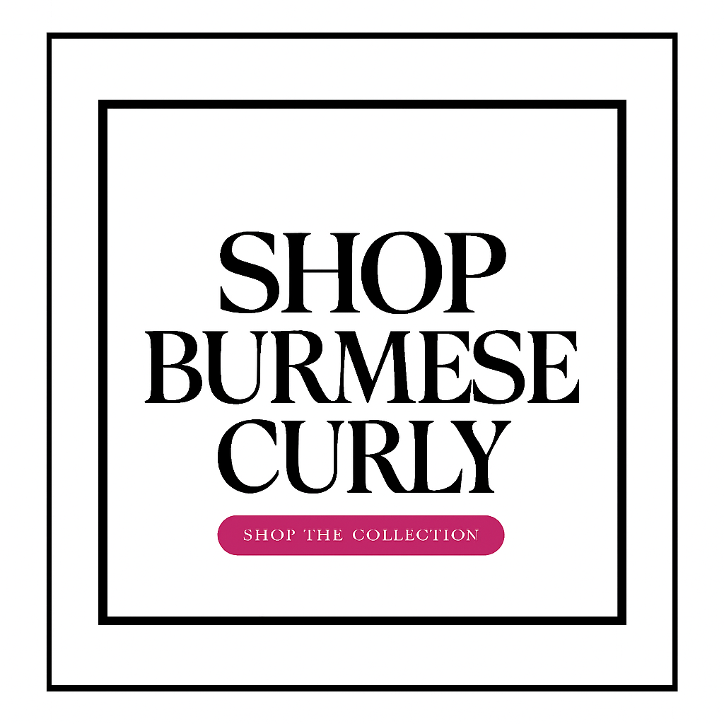 Burmese Curly Extensions